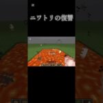 ニワトリの逆襲　#minecraft #マイクラ #shorts