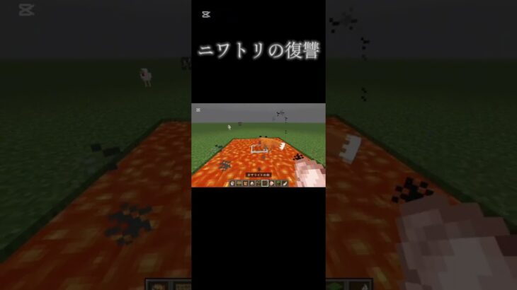 ニワトリの逆襲　#minecraft #マイクラ #shorts