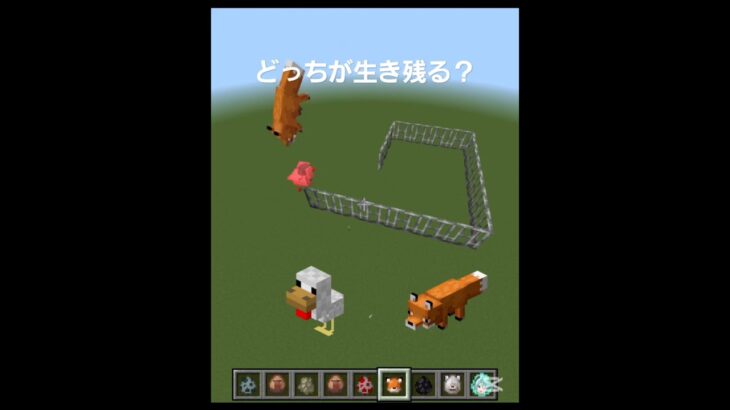 【マイクラ】どっちが生き残る？ #マイクラ #マインクラフト #minecraft #shortvideo #shorts #MOB #minecraftmemes