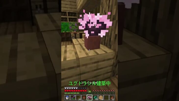【マイクラ】ユグドラシル建築中！ #minecraft #switch #マイクラ #マインクラフト #minecraftbuilding