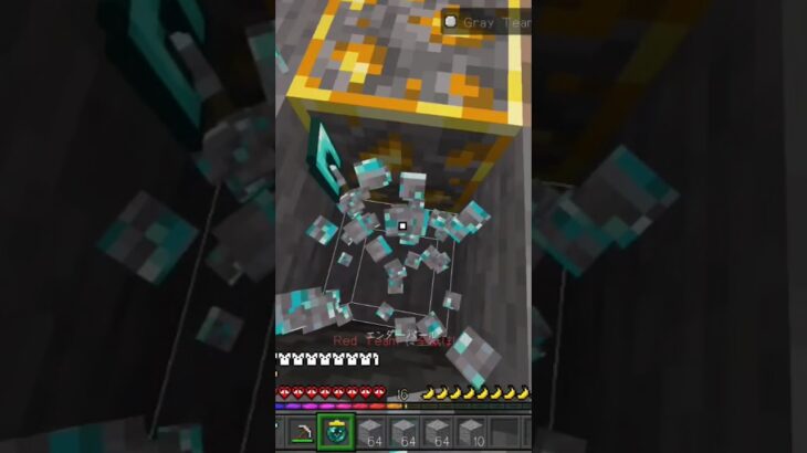 バカすぎる主である#マイクラ #minecraft#hive