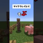 【マイクラ】マイクラしりとり！！　#マインクラフト #マイクラmod #マイクラ豆知識 #shorts  #ゆっくり実況