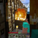 only one house is flammable #minecraft