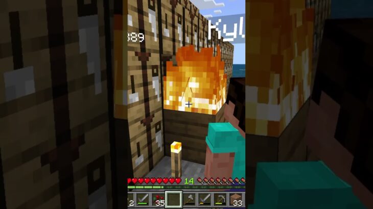 only one house is flammable #minecraft