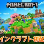 【マインクラフト】(初配信)マイクラに挑戦！！拠点を探して家を建てたい！ part-1
