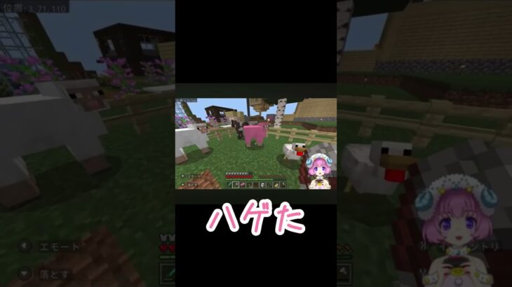 羊の毛を刈るめりめり☆part2 #マイクラ #shorts