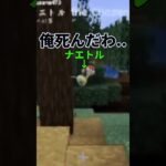 ナエトル死亡シーン #マイクラ #マインクラフト #ポケモン #pixelmon  #mod