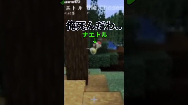 ナエトル死亡シーン #マイクラ #マインクラフト #ポケモン #pixelmon  #mod