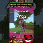 【人気海外サーバー】コマンドsellでアイテム売れるぞ #パンダ君 【マイクラJava版＆統合版】