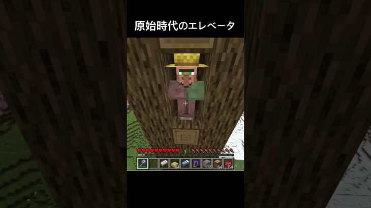 王様しかできないだろ…#shorts #マイクラ #マインクラフト