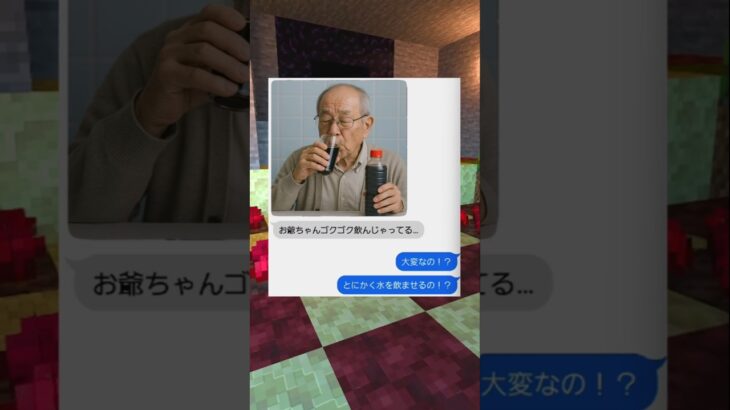 醤油と勘違い奴の末路…　#マイクラ  #shorts  #スカッと
