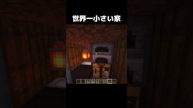 世界一小さい家 #shorts #マインクラフト #マイクラ