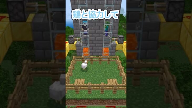 ニワトリの恨み#shorts #マイクラ