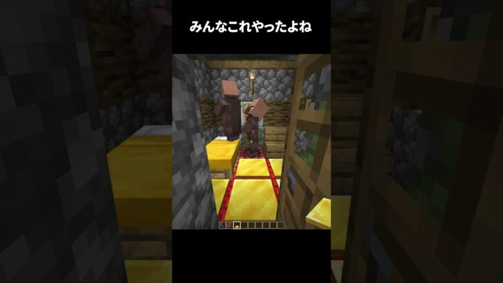 これ、全マイクラ民経験済み #shorts #マインクラフト #マイクラ