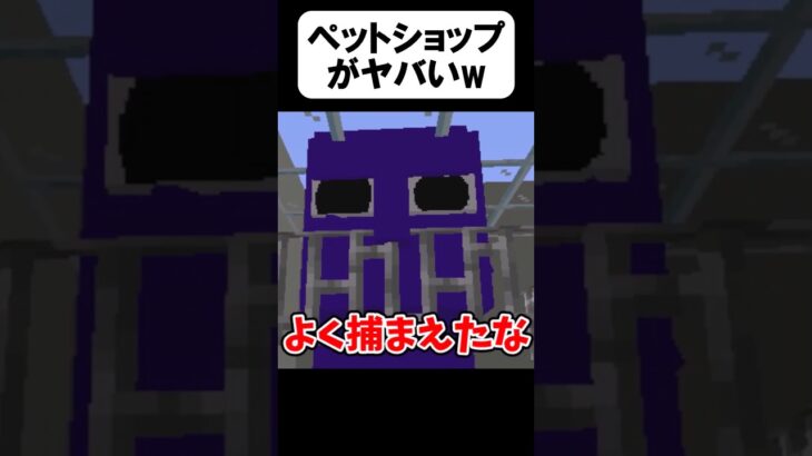 ペットが思ってたのと違う【茶番】#shorts 【マイクラ】【マインクラフト】