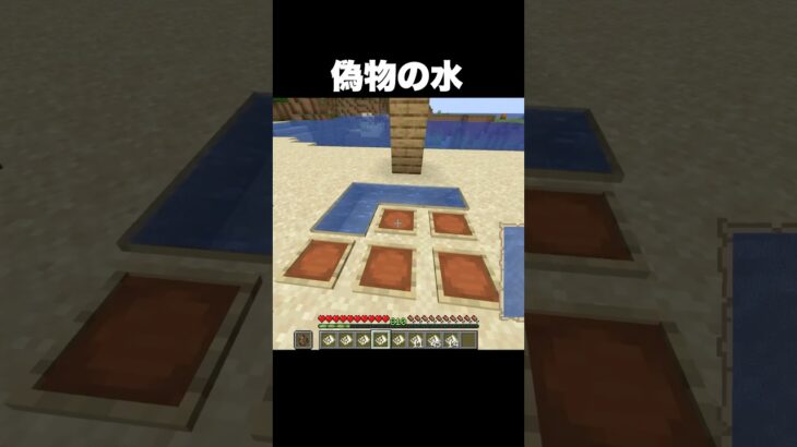 絶対に引っかかる #shorts #マインクラフト #マイクラ