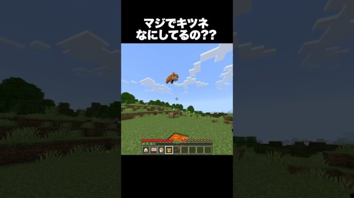 マジでなにしてるの？ #shorts #マインクラフト #マイクラ