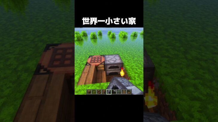 世界一小さい家 #shorts #マインクラフト #マイクラ