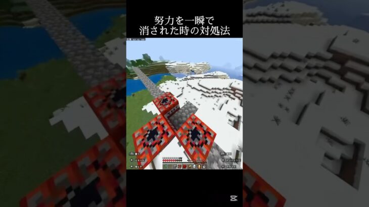 最悪人間の対処法#shorts #マイクラ