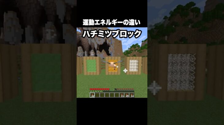 運動エネルギーの違い #shorts #マインクラフト #マイクラ