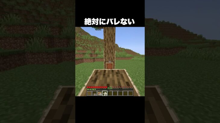 絶対にバレない #shorts #マインクラフト #マイクラ