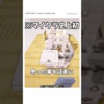 【マイクラ】こんなの誰も見たことない．．．　#shorts  #マイクラ