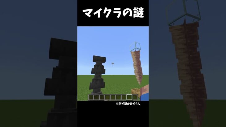 マイクラの謎 #マイクラ #shorts
