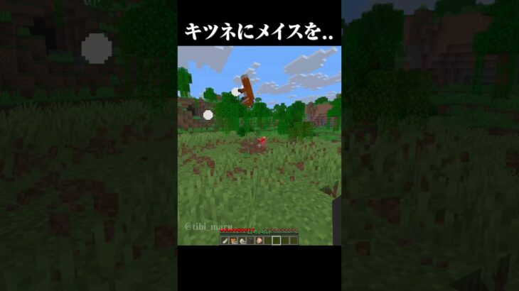 自爆しないで笑笑 #マイクラ #マインクラフト #shorts