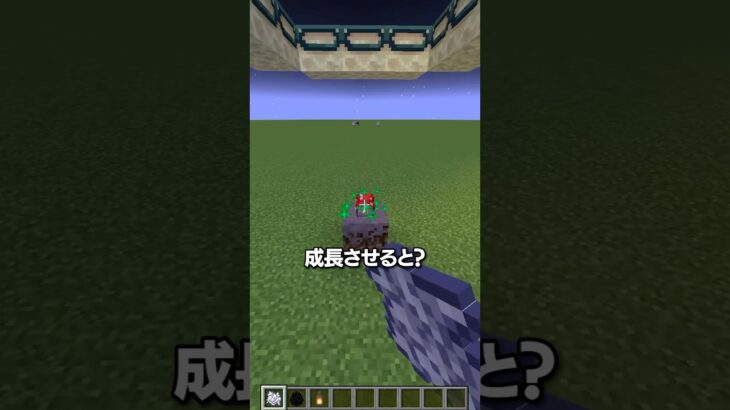 マイクラの謎😇【マインクラフト】#shorts