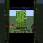 マイクラの謎を検証してみた #shorts