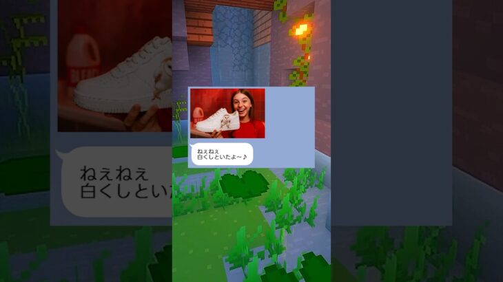 スニーカー破壊女の末路#マイクラ #スカッと#shorts