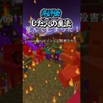 〇〇した人の魔法【マインクラフト】#マイクラ #shorts