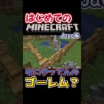 ゴーレムが家出しちゃったみたい　#小白もち #shorts  #小白もち ＃マインクラフト ＃Minecraft #マイクラ