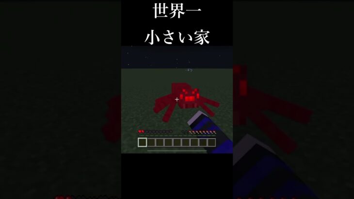 世界一小さい家  #shorts #Minecraft #マイクラ #マインクラフト