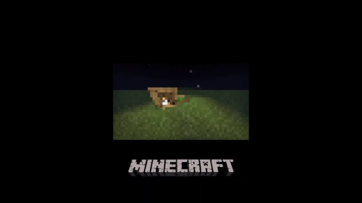 【マイクラ】おしゃれ？で小さい家の作り方✨️【建築】#shorts #Minecraft #マイクラ建築