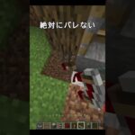 絶対バレない隠し要素 #shorts #minecraft #マイクラ
