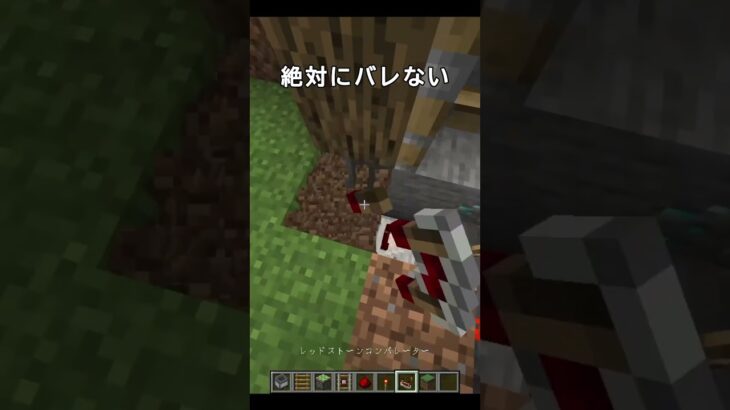 絶対バレない隠し要素 #shorts #minecraft #マイクラ