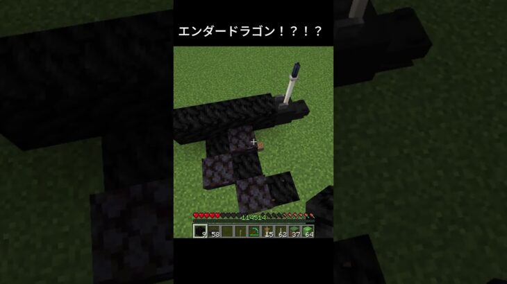 エンダードラゴン！？！？ #shorts #minecraft #マイクラ