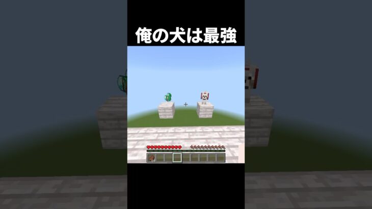 最適解はこれだろう。#shorts #minecraft #マイクラ #マインクラフト