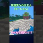 我が家のサボテン🌵とーしゃんの家を作りました！#shorts #minecraft #マインクラフト #マイクラ #サボテン
