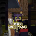 戦闘魔導士の魔法 #shorts    #マイクラ #マインクラフト #minecraft   #ゲーム実況  #まいくら #ゲーム #コント #黒猫