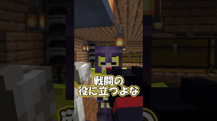 戦闘魔導士の魔法 #shorts    #マイクラ #マインクラフト #minecraft   #ゲーム実況  #まいくら #ゲーム #コント #黒猫