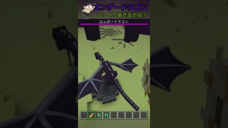 エンダードラゴンひっくり返せるかな？#shorts #マイクラ #マインクラフト #minecraft