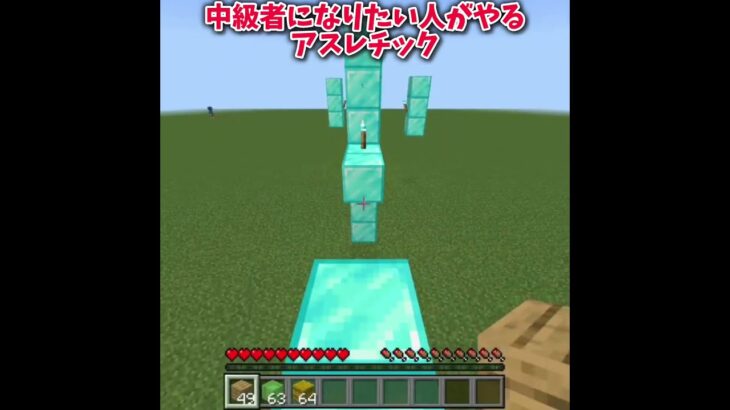 自称進学校の模試が終わったから本気出してみた　 #マイクラ #shorts  #minecraft