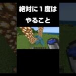 これ一度はやるよね？#shorts #minecraft #マイクラ #マインクラフト #minecraftshorts