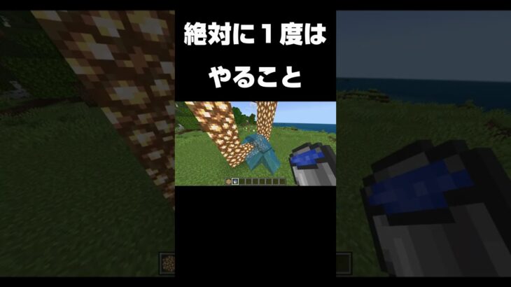 これ一度はやるよね？#shorts #minecraft #マイクラ #マインクラフト #minecraftshorts
