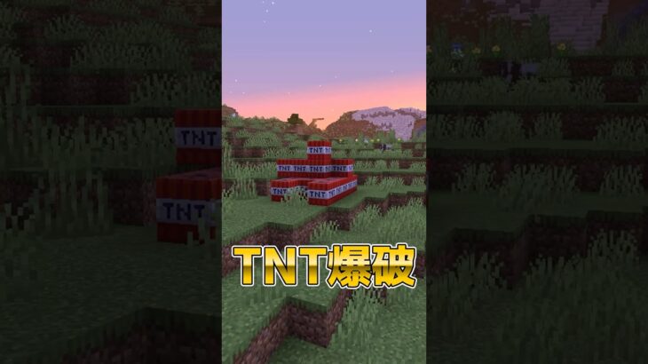【マイクラ】ショボくて寒い事 #shorts #マイクラ #minecraft #minecraftshorts #マインクラフト #ゆっくり実況 #ゆっくり茶番 #ゆっくり解説 #tnt