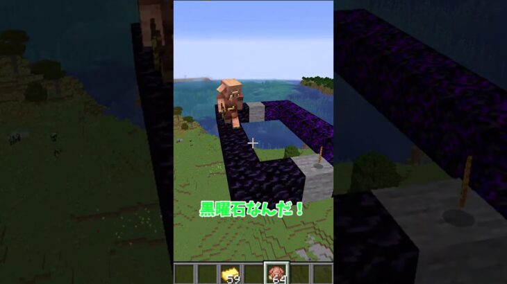 ピグリンはどっち選ぶの？！ #マイクラ #マインクラフト #shots #minecraft #ゆっくり実況 #まいくら