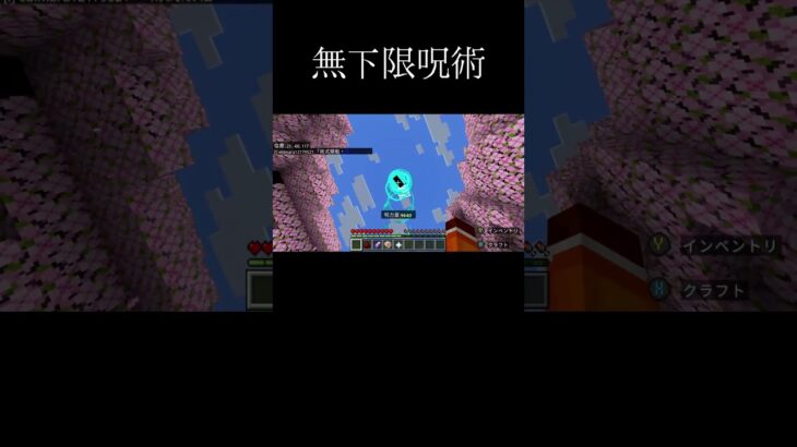 【マイクラ統合版:switch対応】「照れるなよぉ、こっちまで恥ずかしくなる」無下限呪術 #呪術廻戦 #jujutsukaisen ＃マイクラ＃マイクラ統合版＃コマンド＃minecraft #アニメ