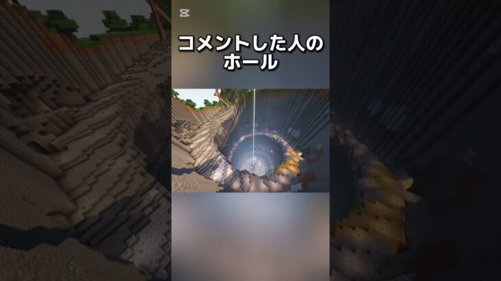 〇〇した人のホール #マイクラ #マインクラフトswitch #マインクラフト#minecraft #まいくら #スイッチ